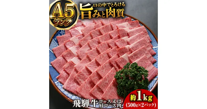 【ふるさと納税】A5等級飛騨牛焼肉用1kgロースまたは肩ロース 和牛 BBQ 霜降り 岐阜市/小川ミート[ANAJ015]