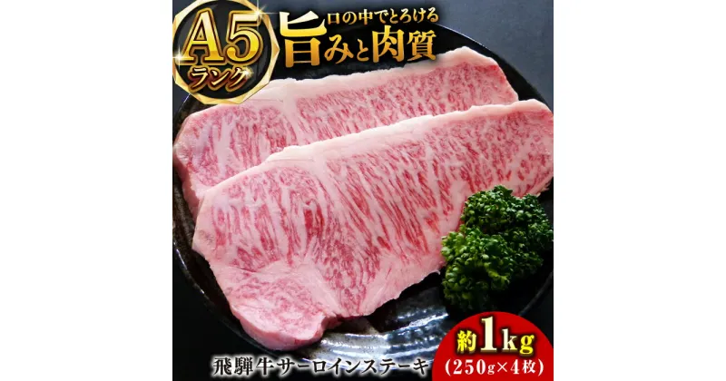 【ふるさと納税】A5等級飛騨牛サーロインステーキ1kg 和牛 BBQ 霜降り 岐阜市/小川ミート[ANAJ003]