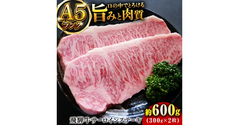 【ふるさと納税】A5等級飛騨牛サーロインステーキ600g 和牛 BBQ 霜降り 岐阜市/小川ミート[ANAJ002]