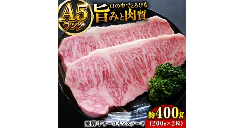 【ふるさと納税】A5等級飛騨牛サーロインステーキ400g 和牛 BBQ 霜降り 岐阜市/小川ミート[ANAJ001]