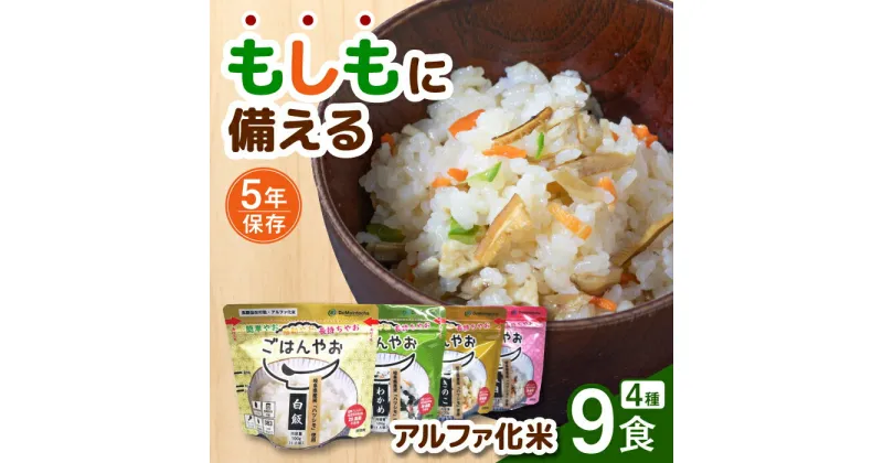 【ふるさと納税】【非常食】もしもに備える アルファ化米4種類 9食セット【防災備蓄】 防災用品 保存食 ご飯 岐阜市/ドゥメンテックス[ANBF002]