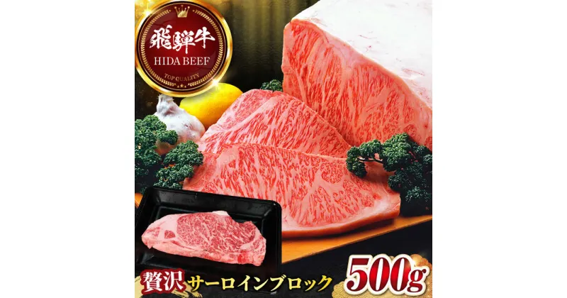 【ふるさと納税】【飛騨牛】サーロインブロック(500g) 和牛 BBQ ローストビーフ 岐阜市/丸福商店[ANBO009]