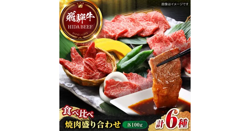 【ふるさと納税】【飛騨牛】食べ比べ焼肉盛り合わせ6種　各100g 和牛 ミスジ イチボ 岐阜市/丸福商店[ANBO027]