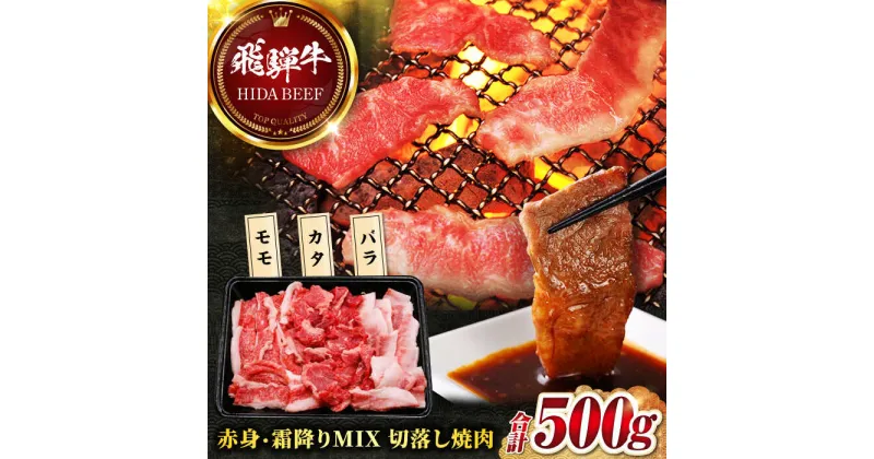 【ふるさと納税】【飛騨牛】赤身・霜降りMIX 切落し焼肉(モモ・カタ・バラ)500g 焼肉丼 カルビ ロース 岐阜市/丸福商店[ANBO024]