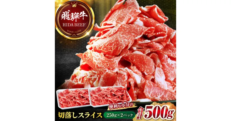 【ふるさと納税】【飛騨牛】切落しスライス(250g×2) 和牛 焼肉 小分け 岐阜市/丸福商店[ANBO003]