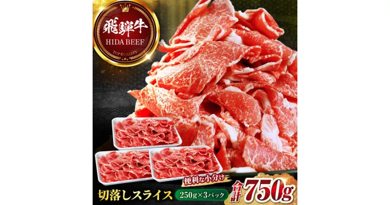 【ふるさと納税】【飛騨牛】切落しスライス(250g×3) 和牛 焼肉 小分け 岐阜市/丸福商店[ANBO004]