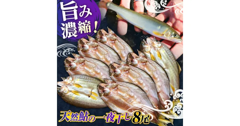 【ふるさと納税】清流長良川 天然鮎 一夜干し 手作り 香魚 冷凍 岐阜市/天然鮎専門 結の舟[ANBN002]