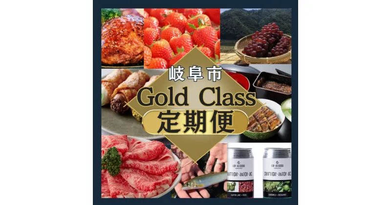 【ふるさと納税】岐阜市 Gold class 定期便 選べる コンサル [ANFT012]