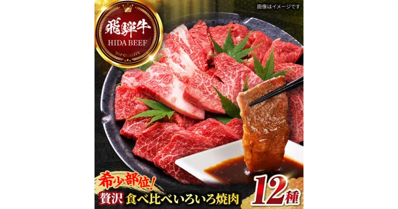 【ふるさと納税】【飛騨牛】贅沢食べ比べ12種いろいろ焼肉 上バラ サーロイン 牛ヒレ 岐阜市/丸福商店[ANBO028]