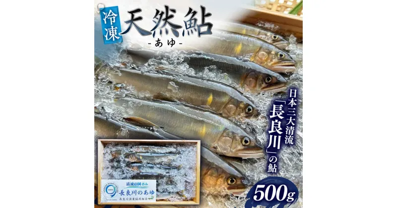 【ふるさと納税】【世界農業遺産】清流長良川 天然鮎(冷凍) 500g 10月〜12月申込 産地直送 新鮮 あゆ 岐阜市/SONAMU[ANEX002]