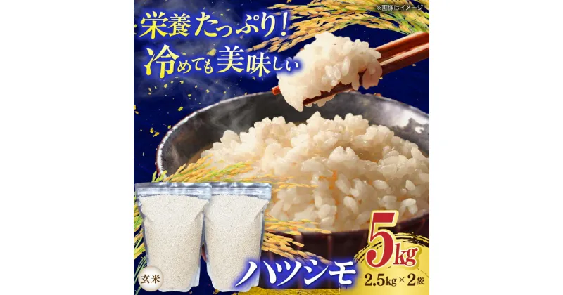 【ふるさと納税】岐阜市産 ハツシモ 玄米 5kg【2.5kg×2P】 お米 コメ 5キロ 岐阜市/農事組合法人　下城田寺営農[ANEP004]