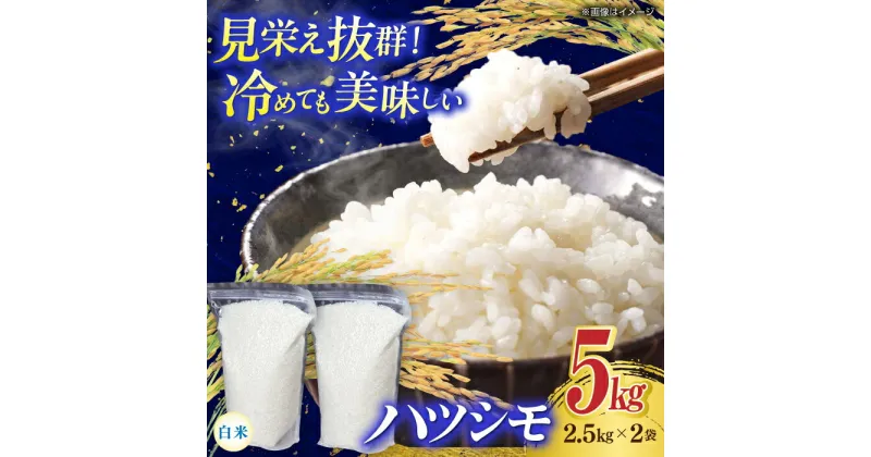 【ふるさと納税】岐阜市産 ハツシモ 白米 5kg【2.5kg×2P】 お米 コメ 5キロ 岐阜市/農事組合法人　下城田寺営農[ANEP003]