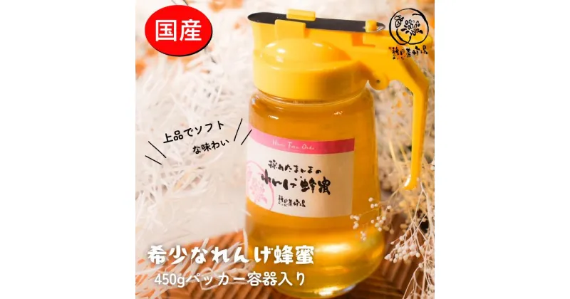 【ふるさと納税】【大垣産】希少な『れんげ蜂蜜』（液だれしにくいパッカー容器入：450g）