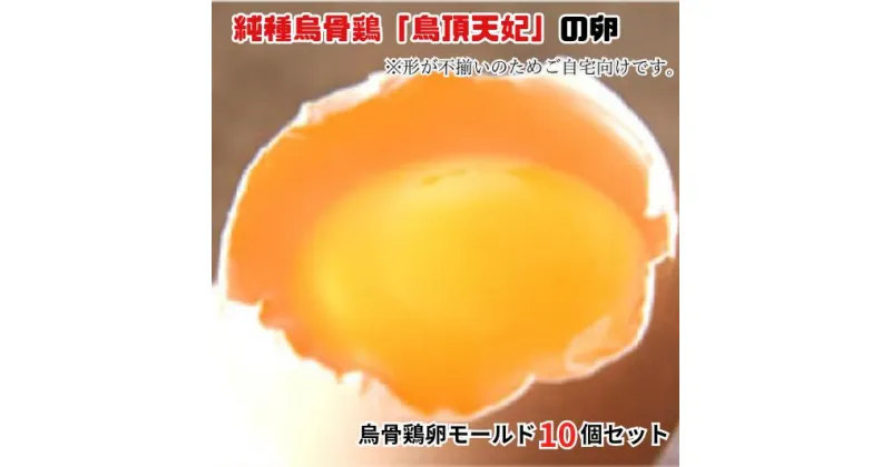 【ふるさと納税】烏骨鶏卵　緩衝性に優れているモールドパック入10個セット