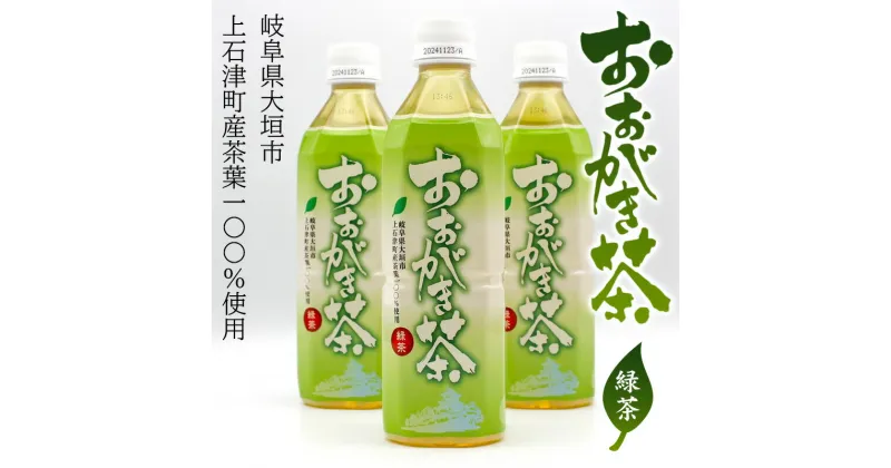 【ふるさと納税】おおがき茶（緑茶500ml×24本）