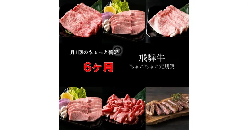 【ふるさと納税】A5飛騨牛　定期便　6カ月ちょこちょこお届け（焼肉・すき焼き・ステーキ）☆