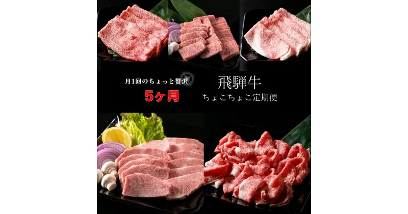 【ふるさと納税】A5飛騨牛　定期便　5カ月ちょこちょこお届け（焼肉・すき焼き　など）☆