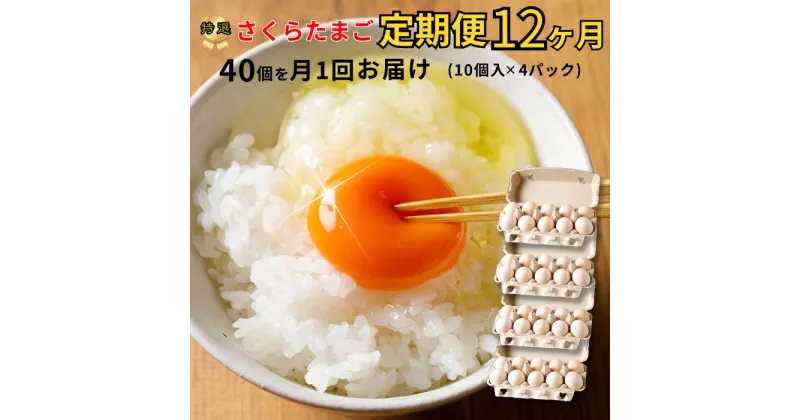 【ふるさと納税】特選　さくらたまご【定期便　1年間】☆40個（10個入×4パック）を月1回お届け☆☆　新鮮な卵をお届けします