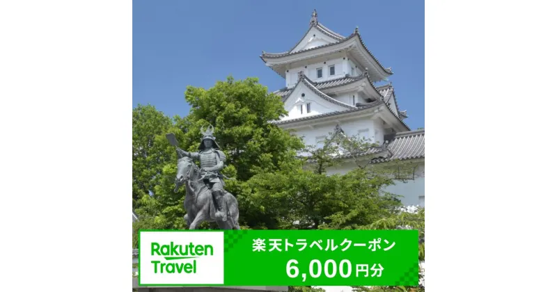 【ふるさと納税】岐阜県大垣市の対象施設で使える楽天トラベルクーポン　寄附金額20,000円