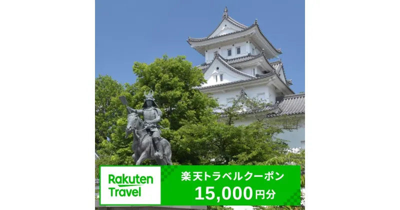 【ふるさと納税】岐阜県大垣市の対象施設で使える楽天トラベルクーポン　寄附金額50,000円