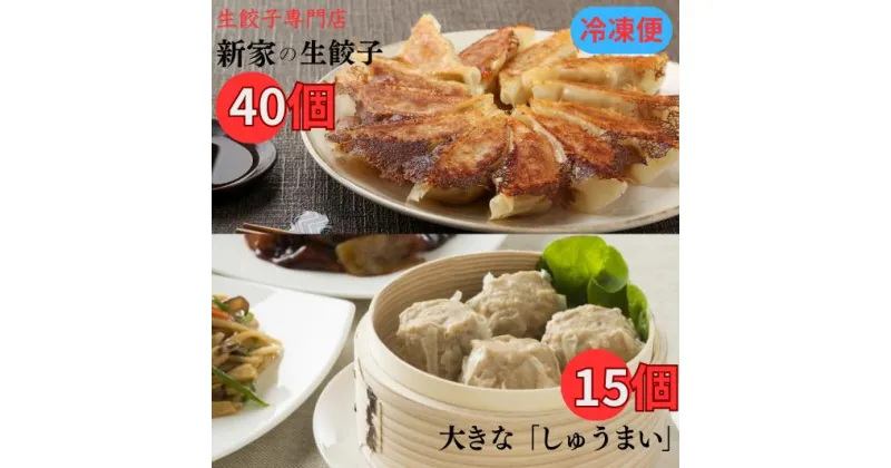 【ふるさと納税】生餃子専門店「新家」の生餃子と大きな「しゅうまい」セット（餃子40個　しゅうまい15個）冷凍餃子　冷凍焼売　簡単調理　海鮮焼売 点心 えび くろぶた