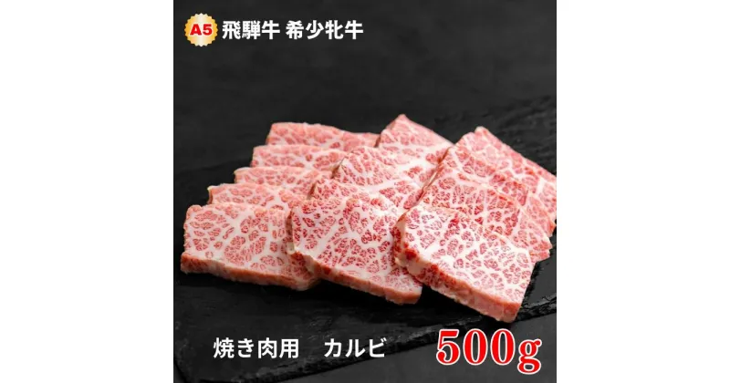 【ふるさと納税】飛騨牛 メス牛 最高A5等級 カルビ 焼肉用 500g 国産 黒毛和牛 牝牛 ギフト ひだうし ひだぎゅう