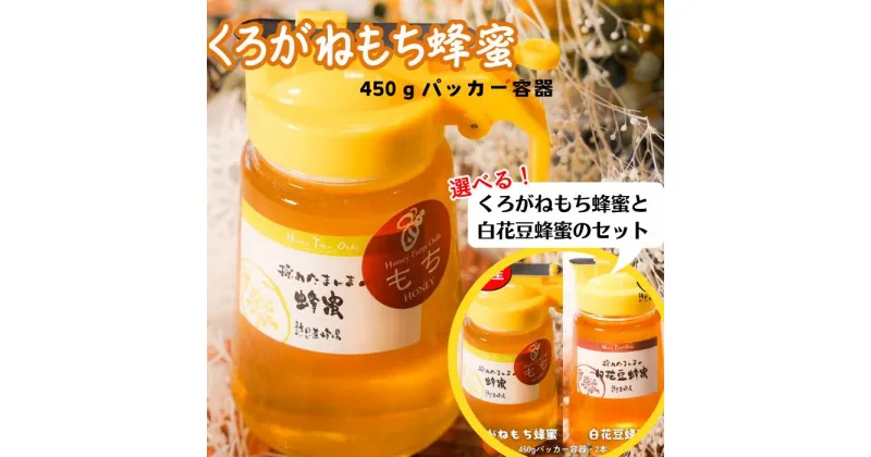 【ふるさと納税】国産純粋はちみつ【選べるセット！】くろがねもち蜂蜜　450g　☆液だれしにくいパッカー容器入り☆