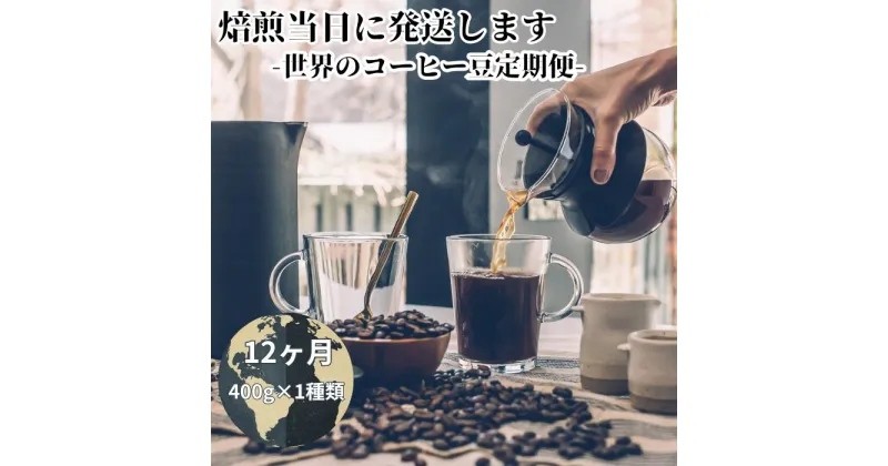 【ふるさと納税】【コーヒー豆定期便12か月】焙煎当日に発送！世界を旅するコーヒー 浅煎り～深煎りおまかせ 400g×1種類