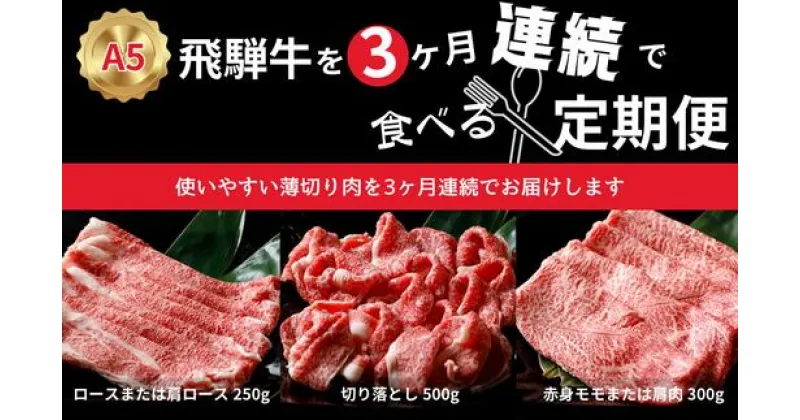 【ふるさと納税】A5飛騨牛を3カ月連続で食べる定期便