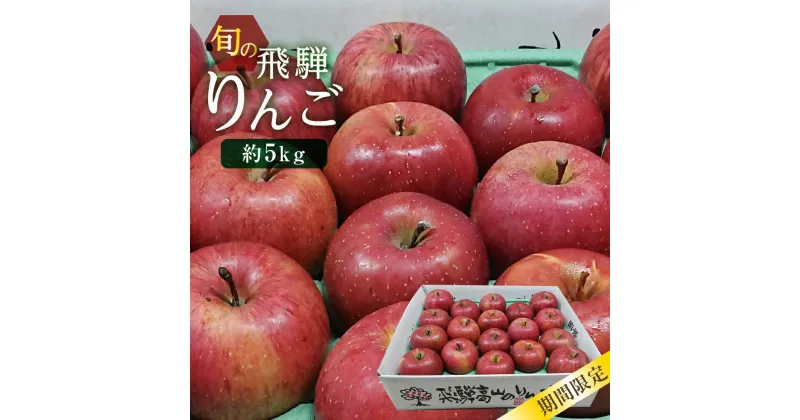 【ふるさと納税】【数量限定/先行予約】飛騨りんご 約5kg (16個〜20個）| 9月中旬〜順次発送 リンゴ 品種おまかせ 旬のりんごを飛騨からお届け おいしい 大容量 飛騨高山 MA005