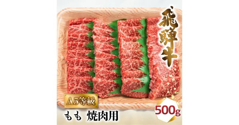 【ふるさと納税】飛騨牛 A5 焼肉 もも 500g 2-3人前