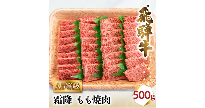 【ふるさと納税】飛騨牛 A5 焼肉 霜降もも 500g 2-3人前