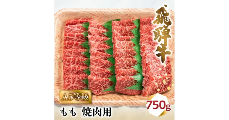 【ふるさと納税】飛騨牛 A5 焼肉 もも 750g 3-4人前