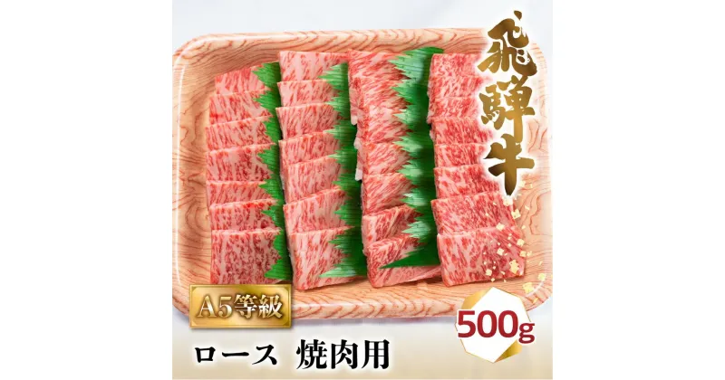 【ふるさと納税】飛騨牛 A5 焼肉 ロース 500g 2-3人前