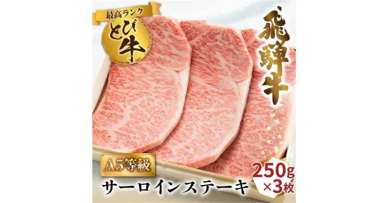 【ふるさと納税】A5等級 飛騨牛 とびサーロイン ステーキ 750g（250g×3枚）| 冷凍 最高ランク とび牛 白木箱入 黒毛和牛 肉 部位 トビ A5 ランク 5等級 国産牛 箱入り 飛騨高山 肉の匠家 BV024