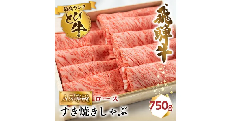 【ふるさと納税】A5等級 飛騨牛 とび ロース すき焼き/しゃぶしゃぶ 750g | 冷凍 白木箱入 とび牛 トビ 黒毛和牛 牛肉 肉 飛騨高山 肉の匠家 BV025