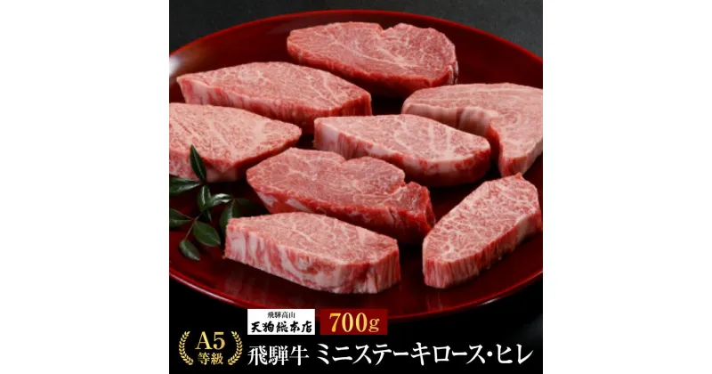 【ふるさと納税】A5 飛騨牛 ミニステーキ (ロース・ヒレ )700g 黒毛和牛 肉 飛騨高山 にも 熨斗 のし BP022