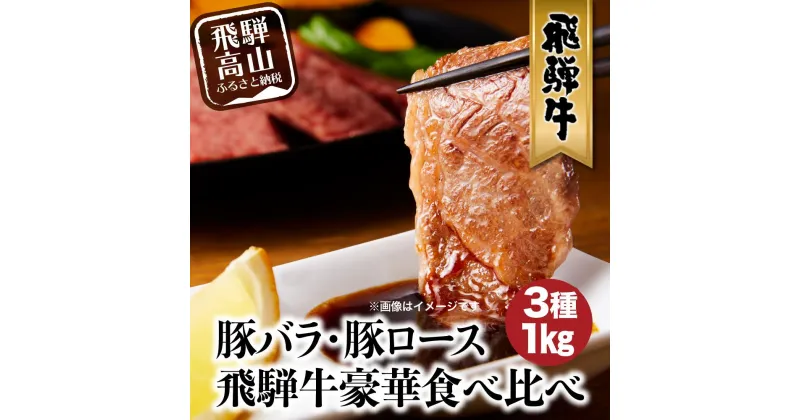 【ふるさと納税】飛騨牛 ＆ 飛騨豚 焼肉 セット 合計 1kg 肉 国産 牛 豚 29-950 ファミリーストアさとう CY030