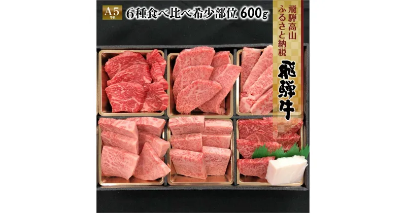 【ふるさと納税】飛騨牛 焼肉 6種食べ比べ セット 600g(100g×6）| 希少部位 A5 5等級 盛り合わせ 焼き肉 やきにく 黒毛和牛 和牛 牛肉 個包装 飛騨高山 ながせ食品 FH017VP