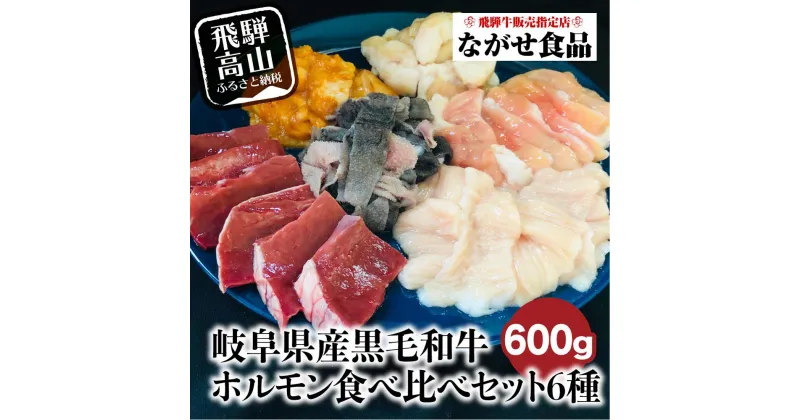 【ふるさと納税】岐阜県産 黒毛和牛 ホルモン 食べ比べセット 600g（100g×6）シロホルモン ハツ センマイ テッチャン 赤センマイ 希少部位 飛騨高山 FH011