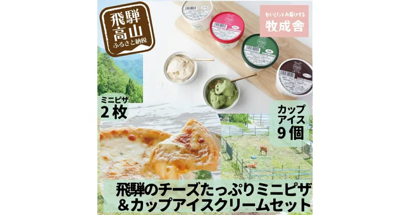 【ふるさと納税】＜牧成舎＞飛騨の牛乳屋が作る 自家製チーズたっぷりのピザ＆こだわりのカップアイスクリームセット DF028