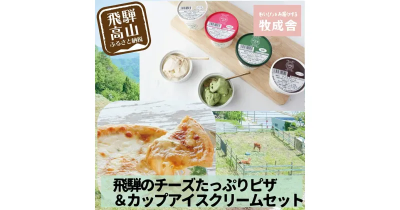 【ふるさと納税】＜牧成舎＞飛騨の牛乳屋が作る、ミルクの旨味たっぷり アイス＆ピザセット | デザート 牧場 アイス 人気 おいしい 牛乳 ギフト プレゼント ピザ パーティ DF024