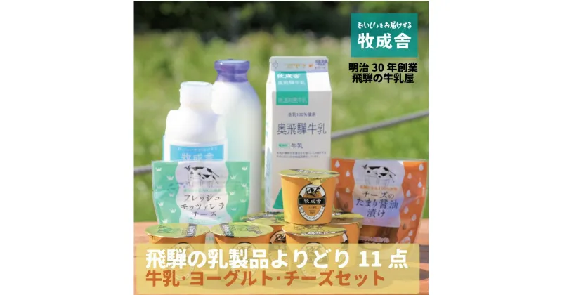 【ふるさと納税】＜牧成舎＞こだわりの乳製品（牛乳／ヨーグルト／チーズ） よりどりセット DF010