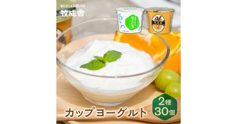 【ふるさと納税】＜牧成舎＞ 飛騨の牛乳屋のこだわりヨーグルト (30個セット) 飛騨高山 DF012