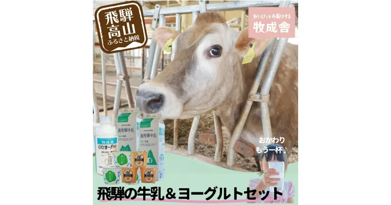 【ふるさと納税】＜牧成舎＞飛騨の牛乳屋のこだわり 牛乳＆ヨーグルト 4種セット | 飲むヨーグルト 生乳 乳製品 自社牧場 低温殺菌 生クリーム 飛騨 詰め合わせ まとめ買い セット 飲料 お取り寄せ 飛騨高山 DF016