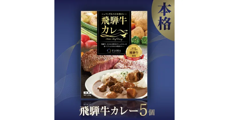 【ふるさと納税】本格飛騨牛レトルトカレー 230g×5個 | 飛騨牛 レトルトカレー ご当地カレー 贅沢 カレー 本格 中辛 ビーフカレー 便利 簡単調理 高山市 高山フローラ EY004