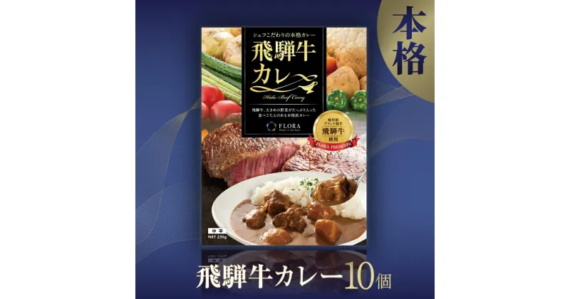 【ふるさと納税】本格飛騨牛レトルトカレー 230g×10個 | 飛騨牛 レトルトカレー 贅沢 カレー 本格 中辛 ビーフカレー ご当地カレー 便利 簡単調理 高山市 高山フローラ EY005