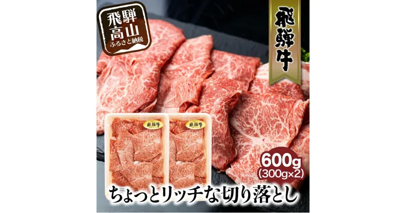 【ふるさと納税】飛騨牛 切り落とし 300g×2パックセット みすじ ウデ すき焼き しゃぶしゃぶ 希少部位 600g 和牛 国産牛 ブランド牛 冷凍 飛騨高山 飛騨牛のこもり FC005