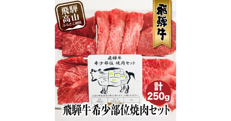 【ふるさと納税】飛騨牛 希少部位 焼肉 盛り合わせ 250g 5種食べ比べ ( ヒレ / ロース / もも など ) A5等級 肉 焼肉セット 食べ比べ 天狗総本店 贈答 飛騨高山 BP015