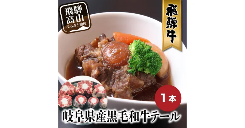 【ふるさと納税】国産 黒毛和牛 テール 1本 飛騨高山 牛 テールスープ 煮込み 牛テール シチュー 天狗総本店 BP016